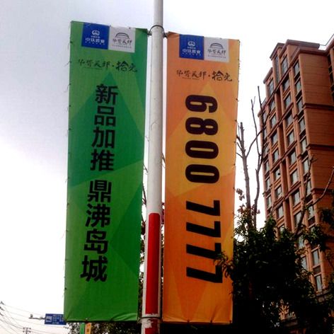 湘潭路灯杆旗